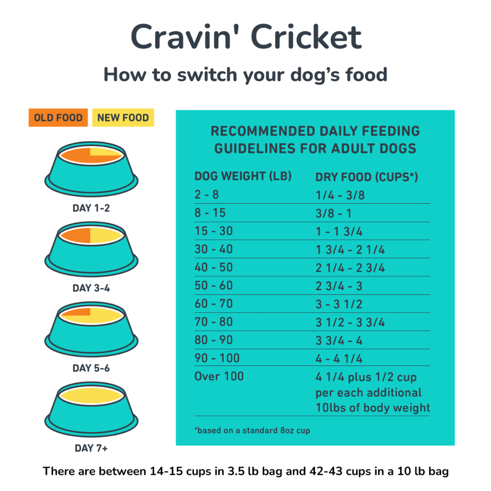 Eco-Dog Essentials with Cravin' Cricket