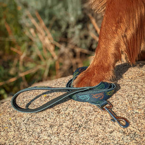 dog with Jiminy's Eco-friendly Dog Leash – Made From Recycled Material 